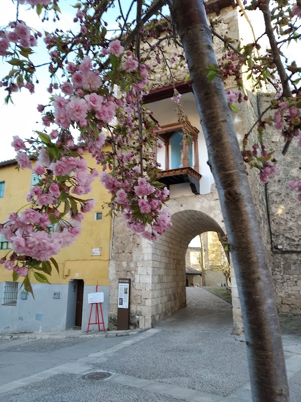 Brihuega 5