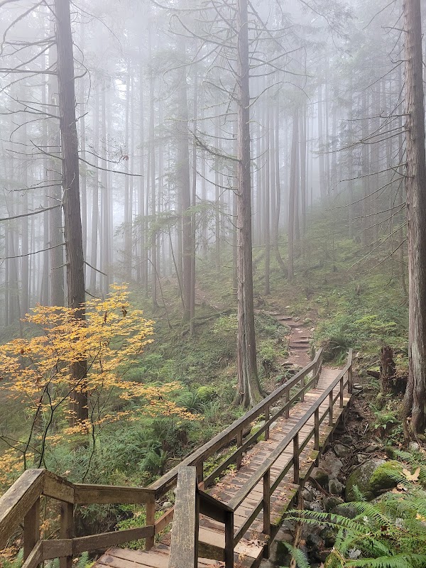 Quarry Rock Hike 5