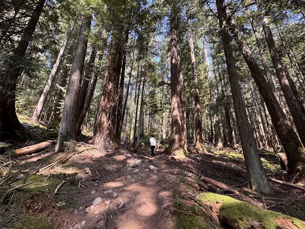 Quarry Rock Hike 4