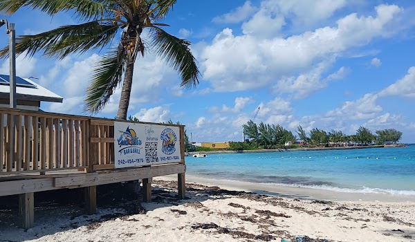 GONE FISH'N BEACH BAR &GRILL 4