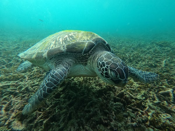 Shark Bay 4