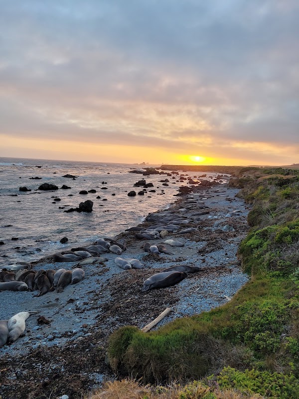 Cambria