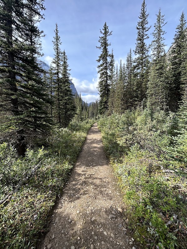Sentinel Pass 2