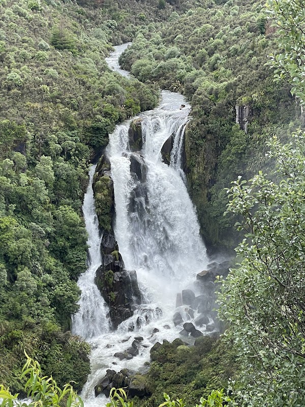 Waipunga Falls 1