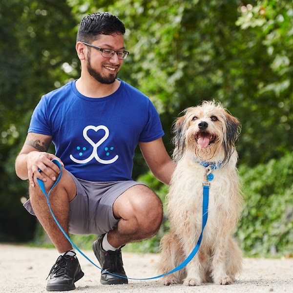 Battersea Dogs and Cats Home 1