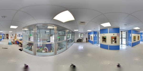 Battersea Dogs and Cats Home 3