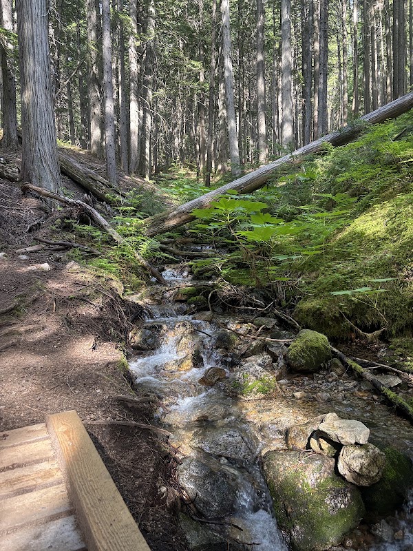 Inspiration Woods Trail 4