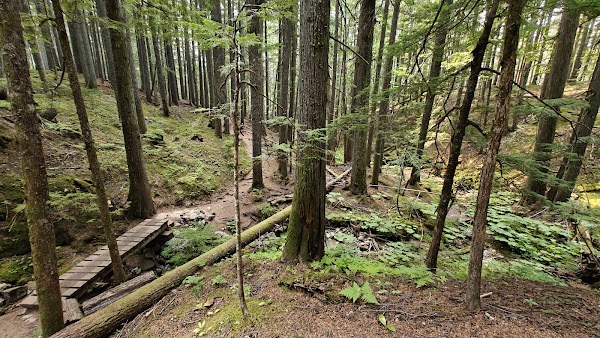 Inspiration Woods Trail 2