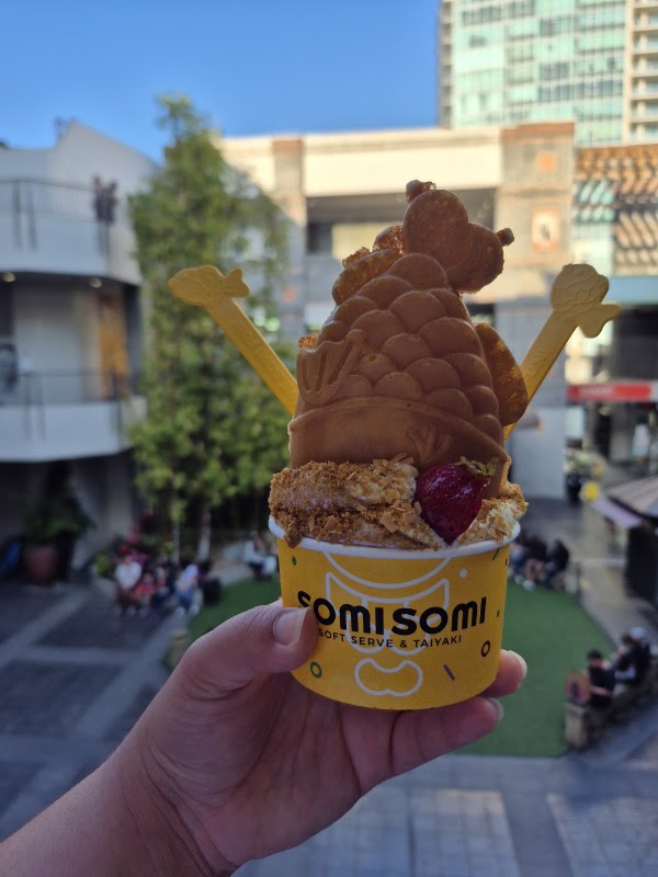 Somisomi 4