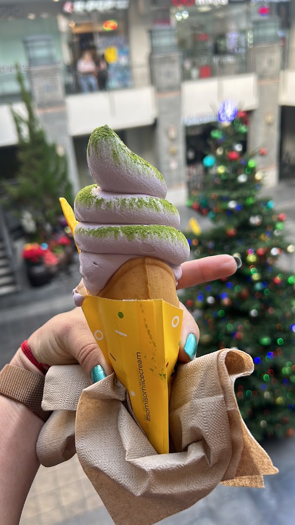 Somisomi 3