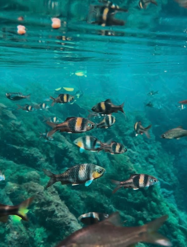 Krabi to do 5