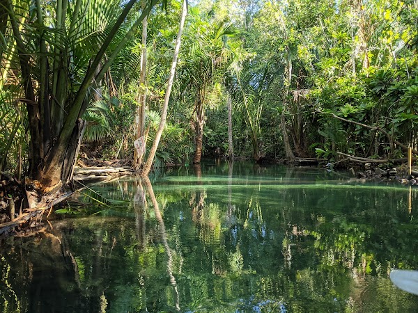 Klong Root, Clear Water Canal 5