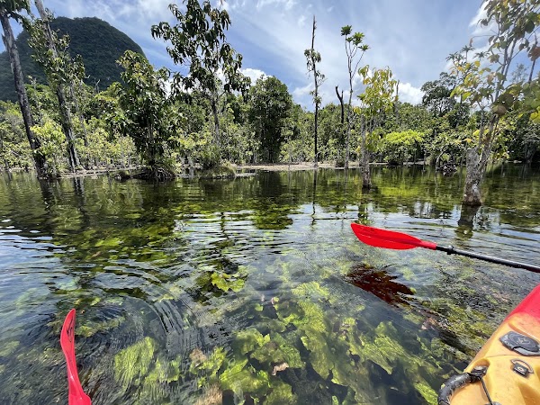 Klong Root, Clear Water Canal 2