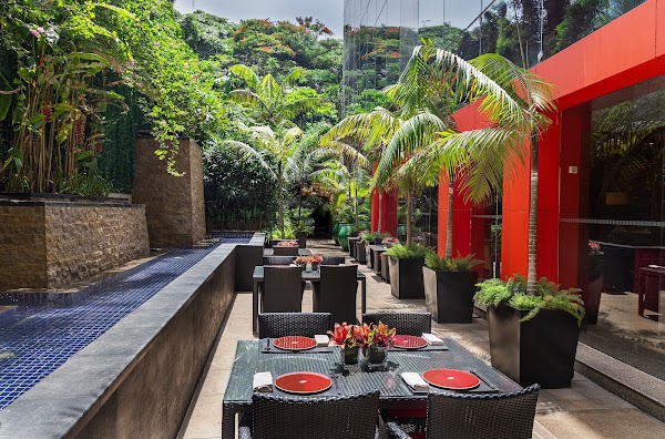 Yàn Yǎn - A Modern Chinese Restaurant and Dim Sum House