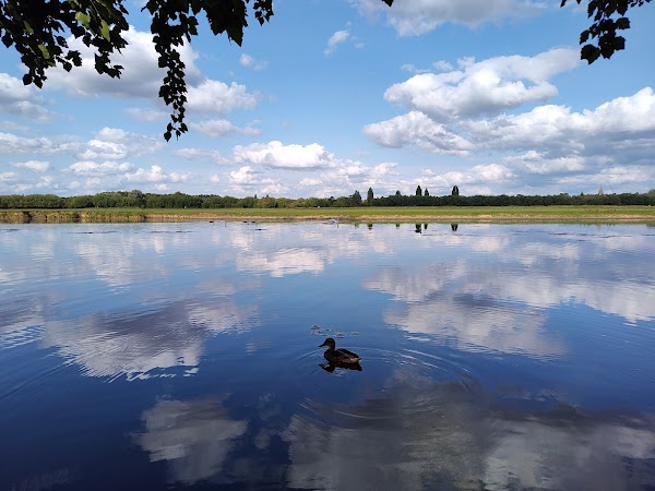 Port Meadow 1