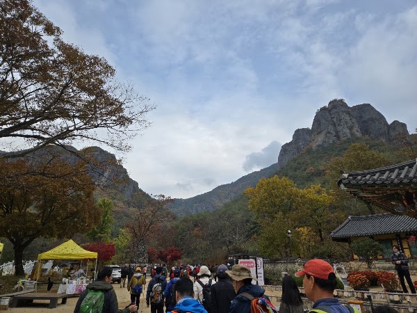 대전사 5