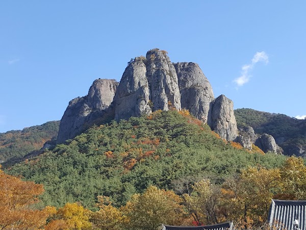 대전사 3