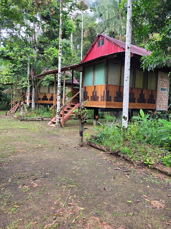 Otorongo Expeditions Amazon River Lodge 1