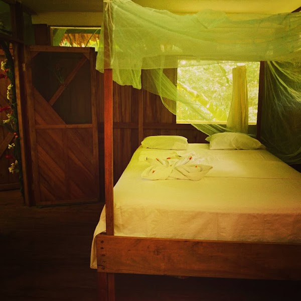 Otorongo Expeditions Amazon River Lodge 5