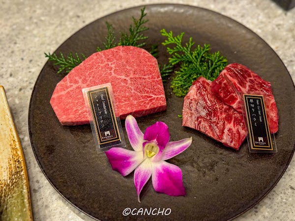 YAKINIKU PONGA PREMIUM 2