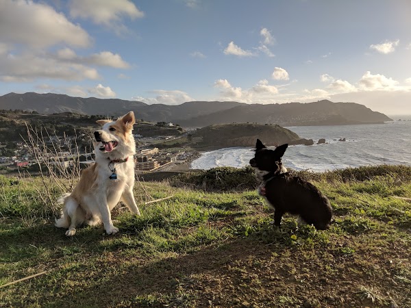 Mori Point Road 2