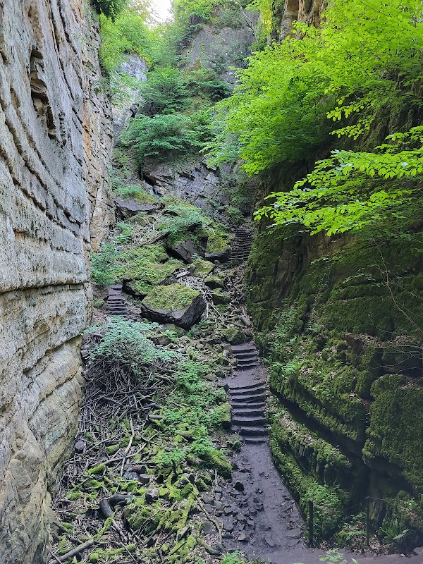 Wolfsschlucht 1