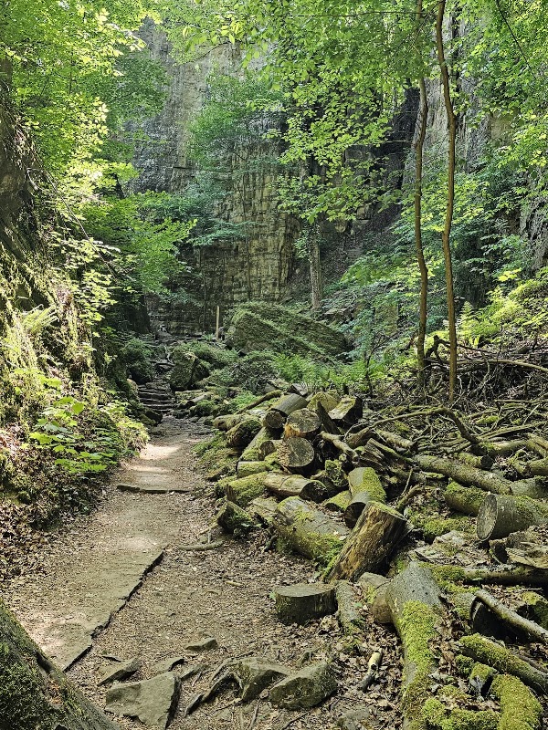 Wolfsschlucht 5