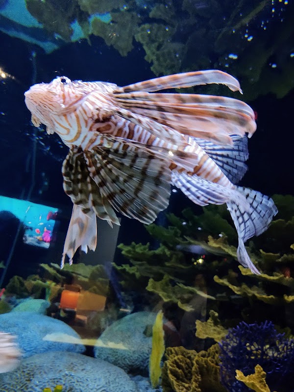 Living Shores Aquarium 5