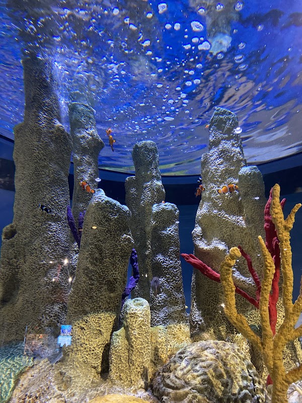 Living Shores Aquarium 4