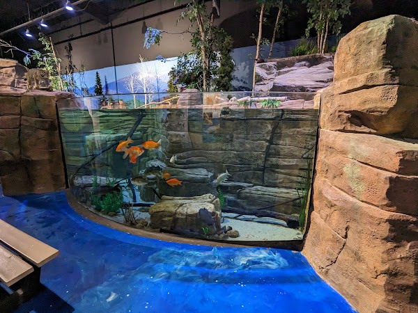 Living Shores Aquarium 2