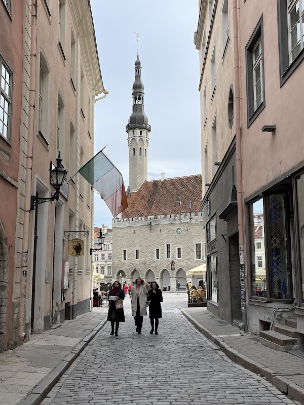Tallinn Town Hall 4