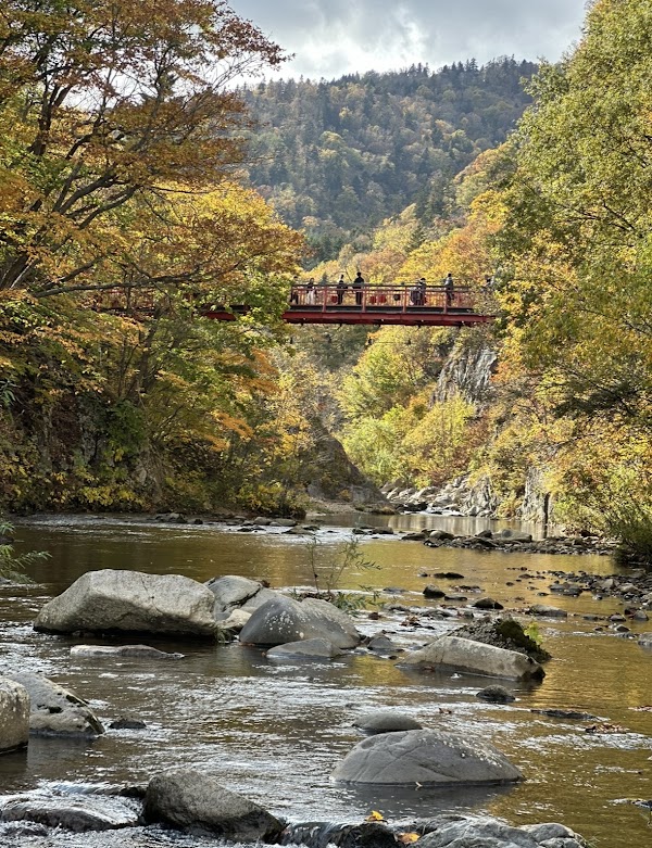 Futami Suspension Bridge 5
