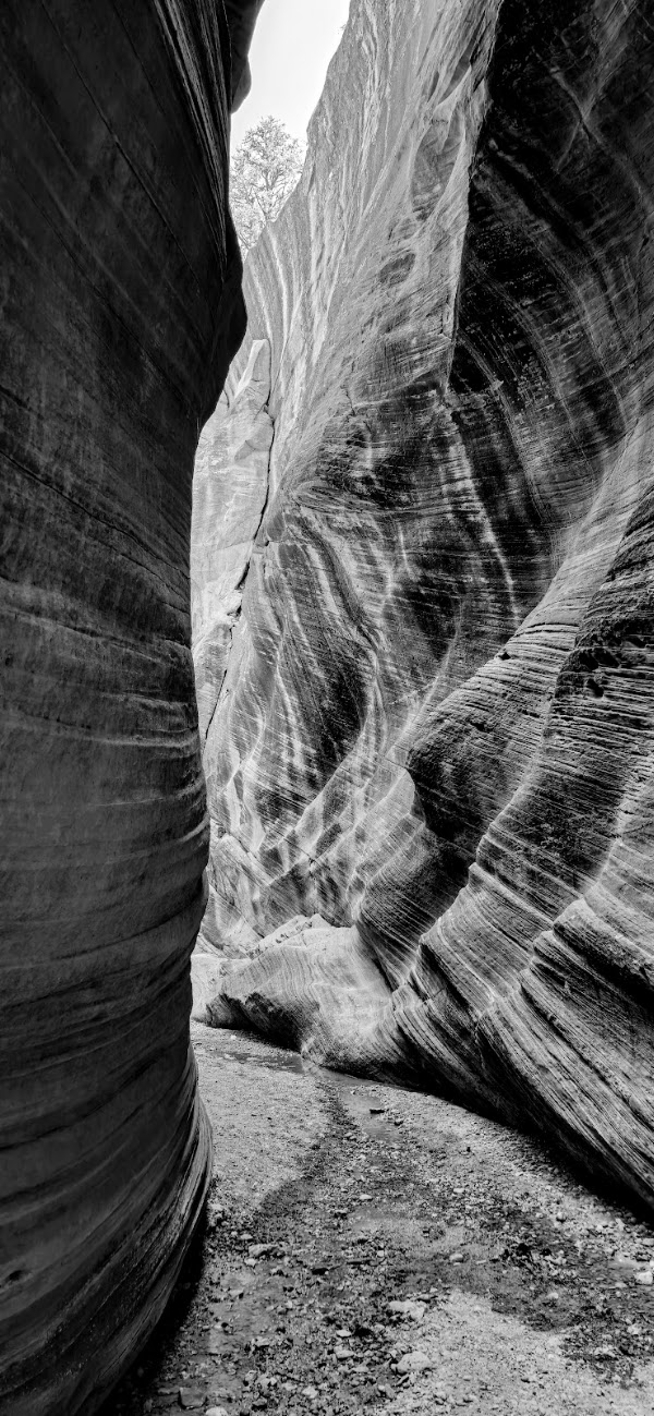 Willis Creek Slot Canyon trailhead 4