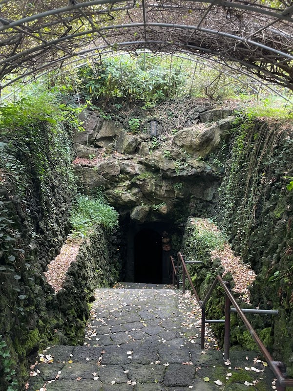 Hyeopjae Cave: Hallim Park 4