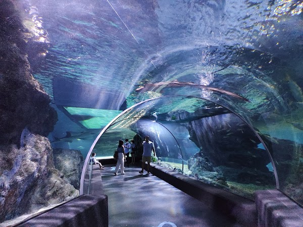 SEA LIFE Bangkok Ocean World