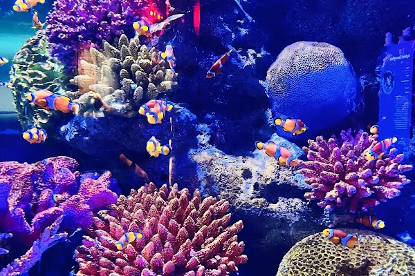 SEA LIFE Bangkok Ocean World 3