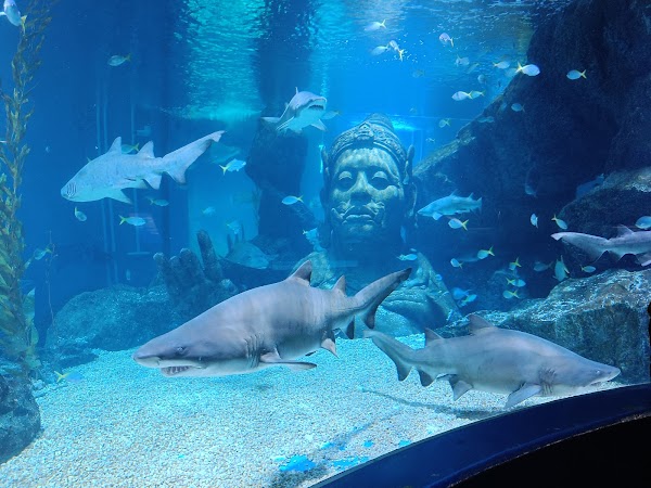 SEA LIFE Bangkok Ocean World 2