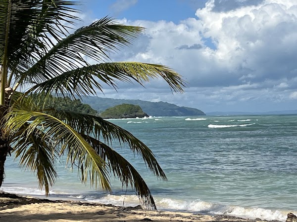 Playa Las Ballenas 4