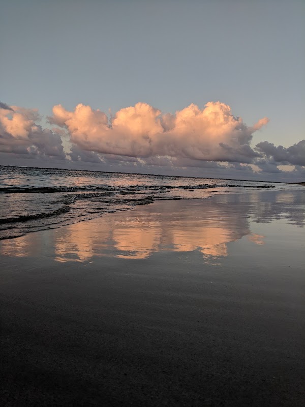 Playa Las Ballenas 2