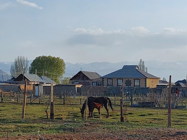 Kochkor
