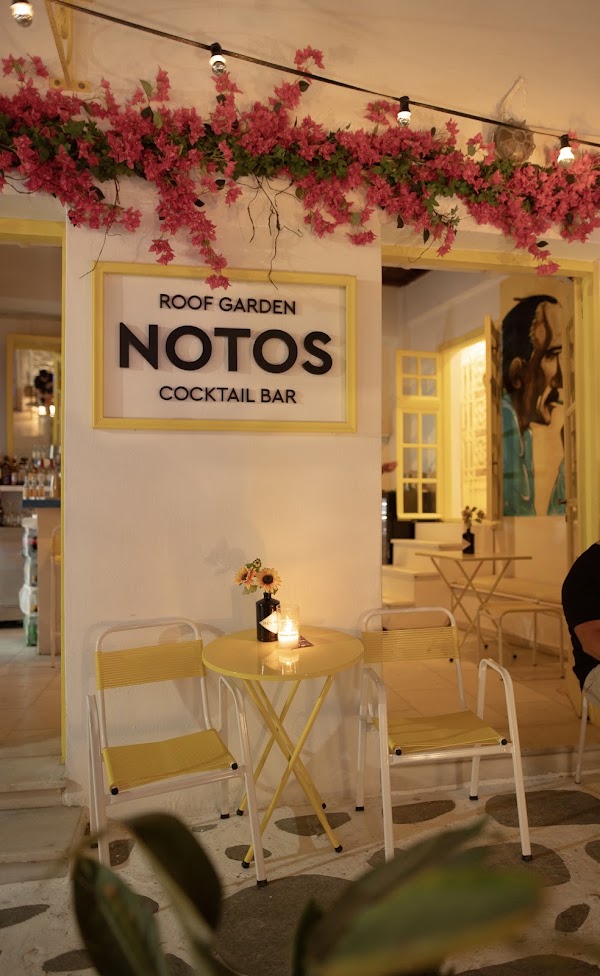 Notos Art Club 1