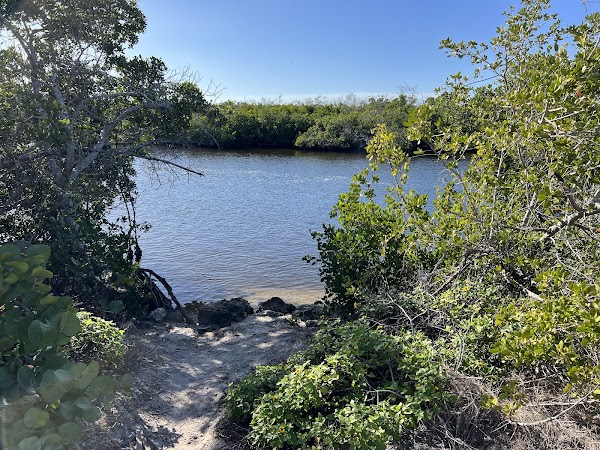 Sirenia Vista