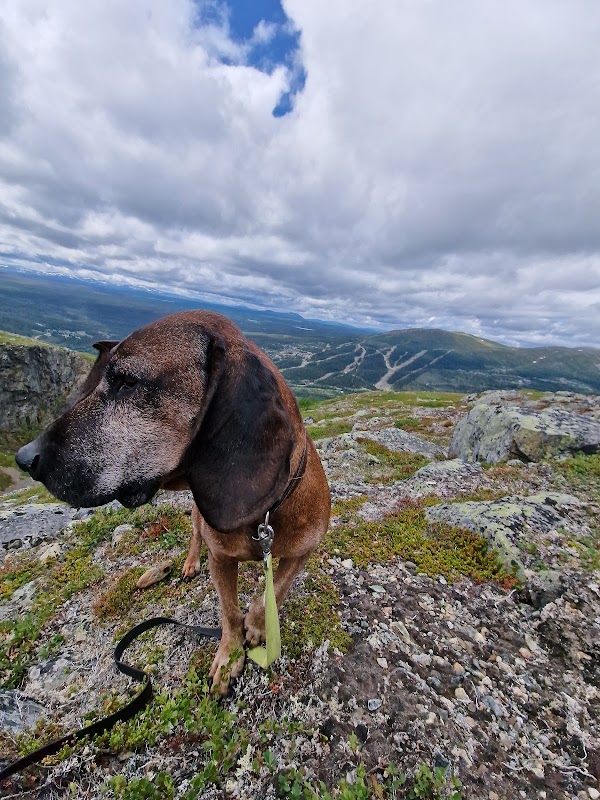 Oviksfjällen 5