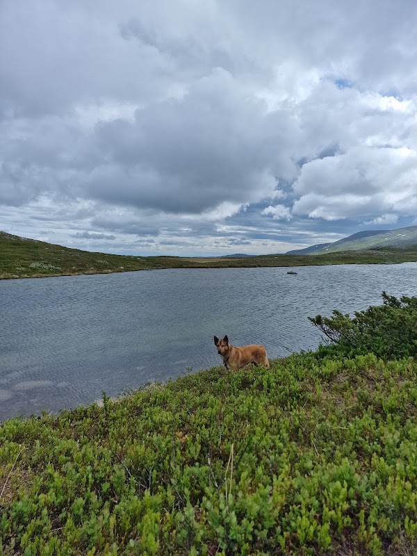 Oviksfjällen 2