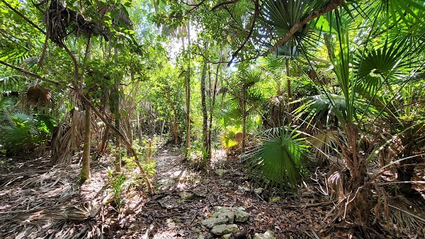 Curry Hammock State Park