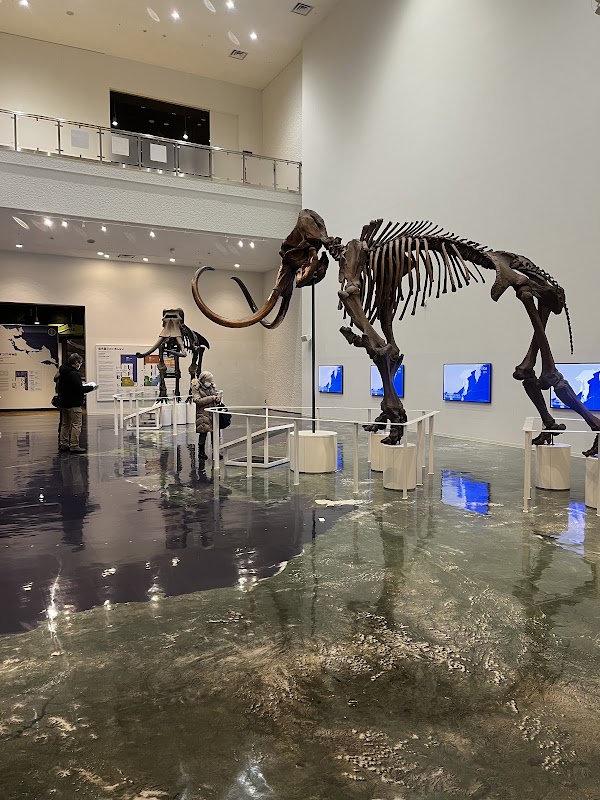 Hokkaido Museum 5