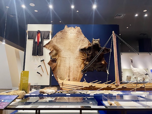 Hokkaido Museum 2
