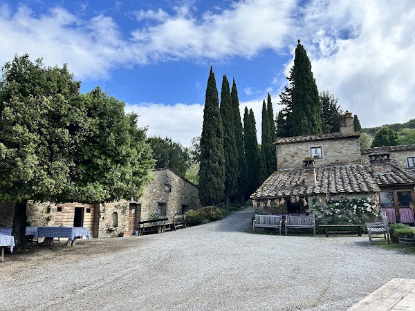 Fattoria La Vialla 4