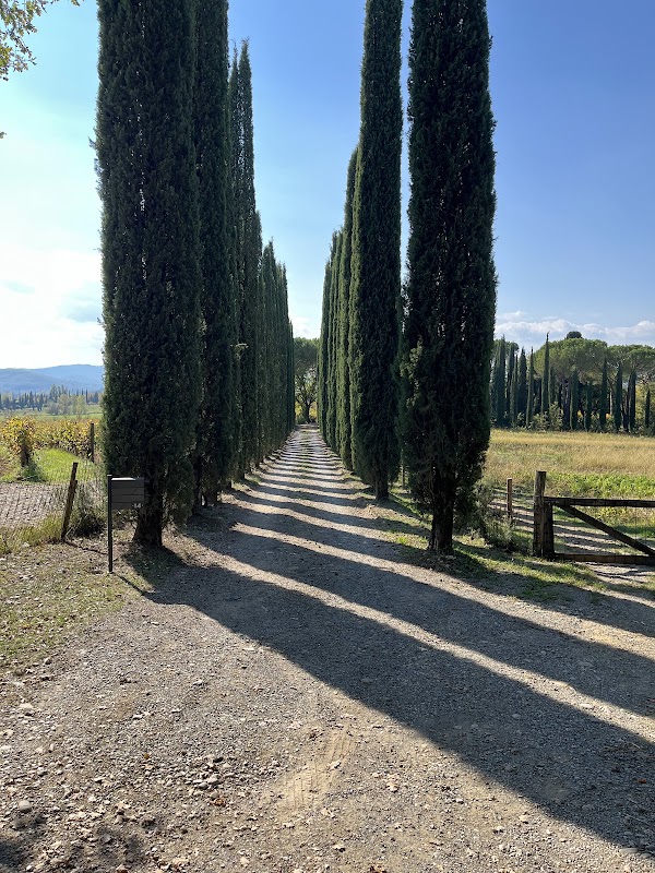 Fattoria La Vialla 3