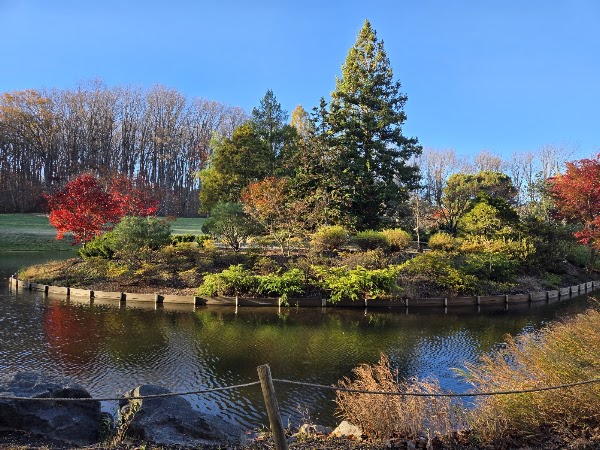Brookside Gardens 3